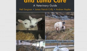 Practical Lambing and Lamb   Care – A Veterinary Guide