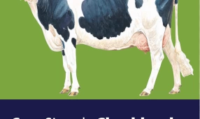Книга контроля - сигналы коров Поддержание здоровья, продуктивности и благополучия