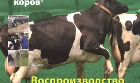 Сигналы коров - Воспроизводство
