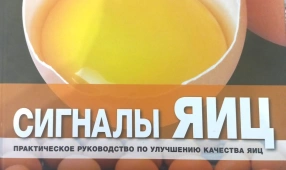Сигналы яиц