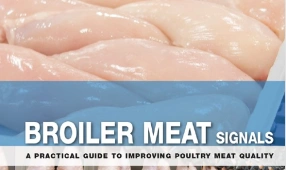 Broiler Meat Signals 