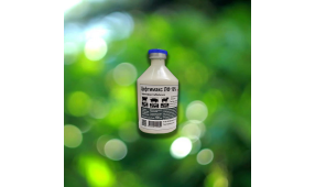 Цефтимакс ЛФ 10% (Антибиотик)