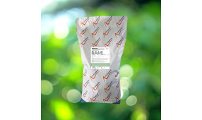 Рунеон концентрат (Гепатопротектор)